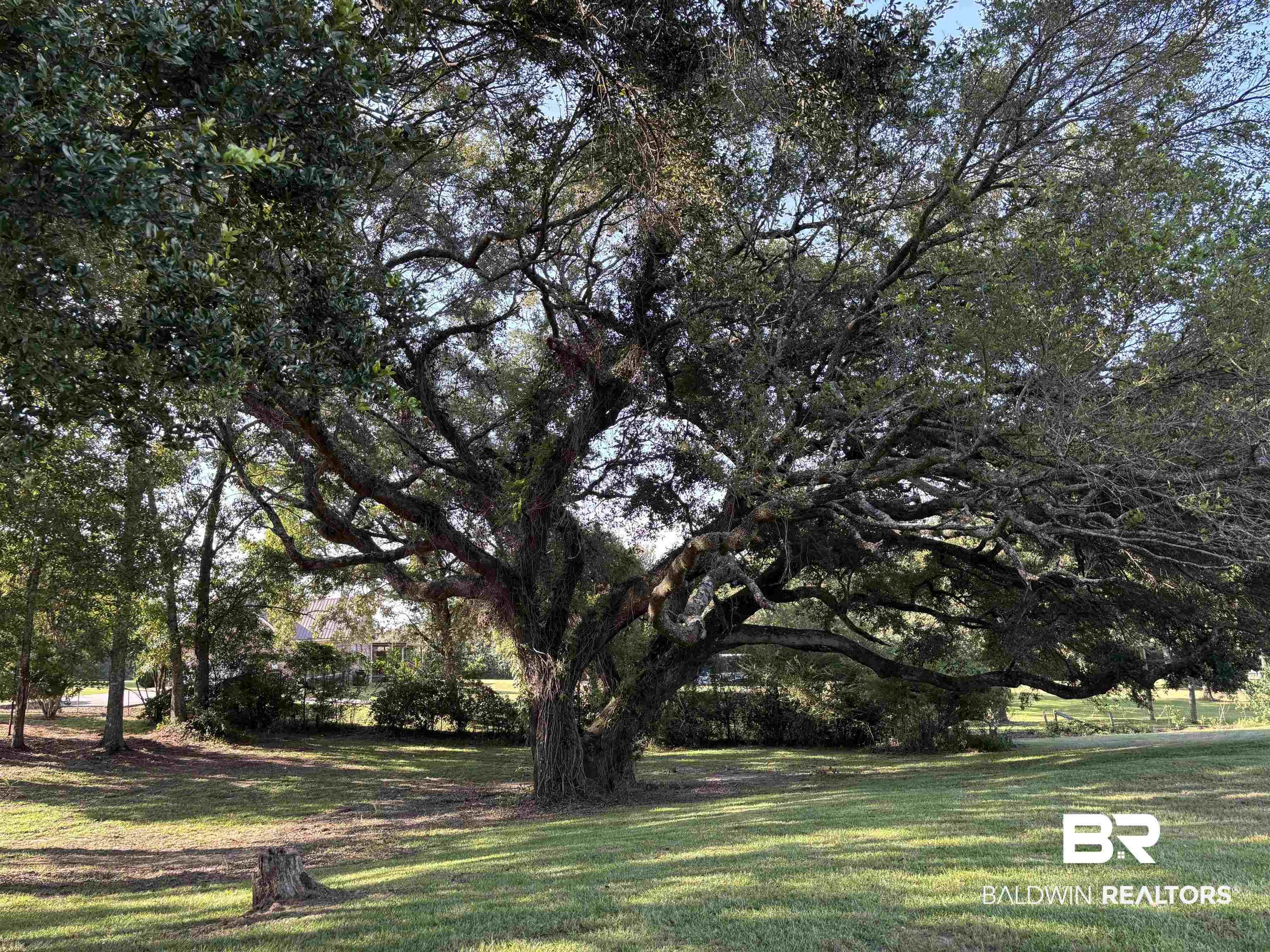 35650 Spring Road North Stapleton, AL 36578 - Photo 58 of 70 View of green lawn