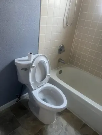 a white toilet sitting next to a bath tub