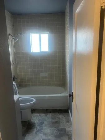 a bathroom with a toilet and a bathtub