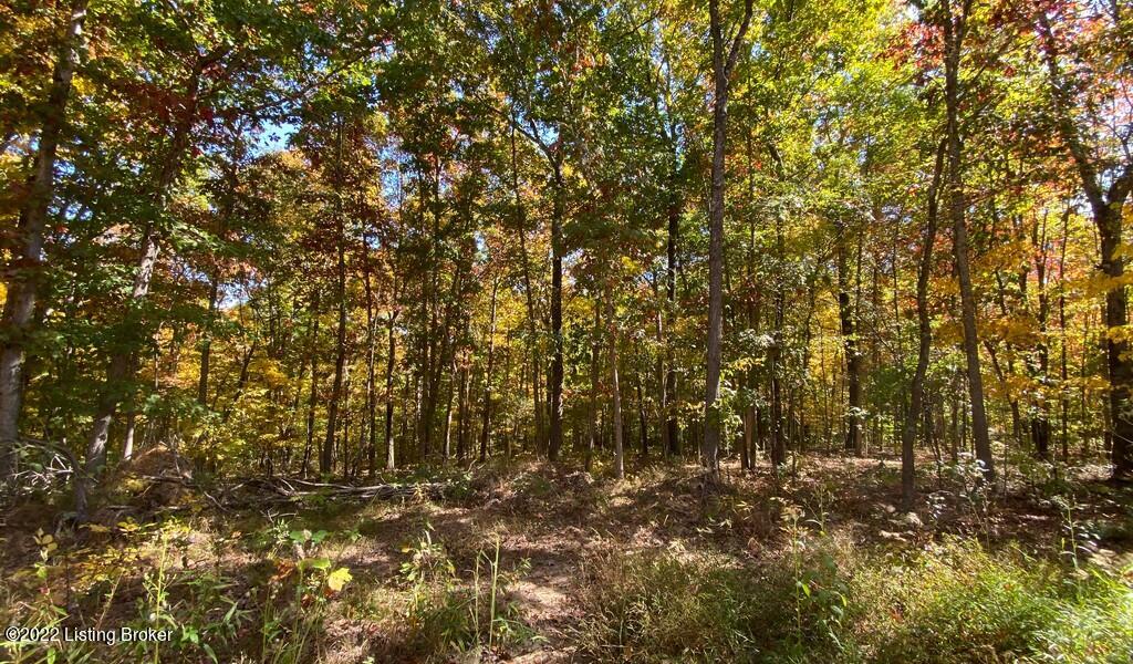 L34 Ted Logsdon Road Clarkson, KY 42726 - Photo 6 of 18 River View Fall144