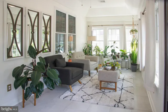 a living room with furniture and a potted plant