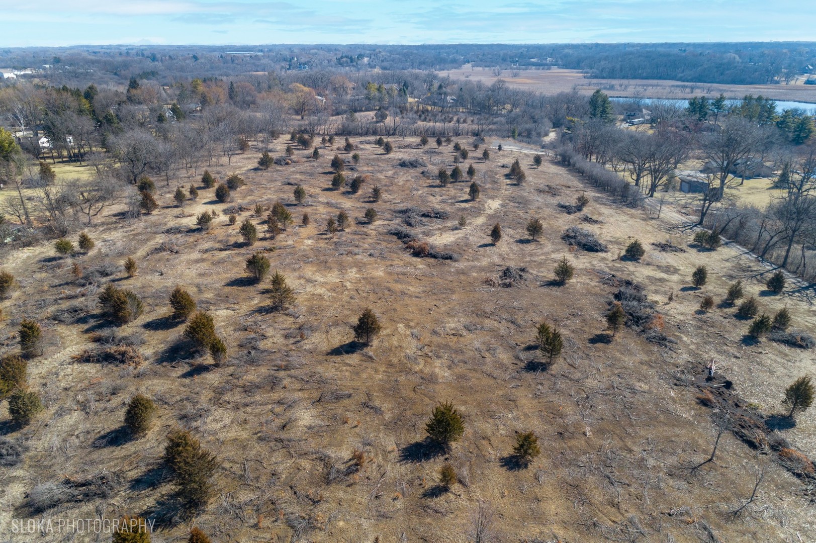 26049 Illinois Rte 59 Wauconda, IL 60084 - Photo 6 of 25 a view of a dry yard