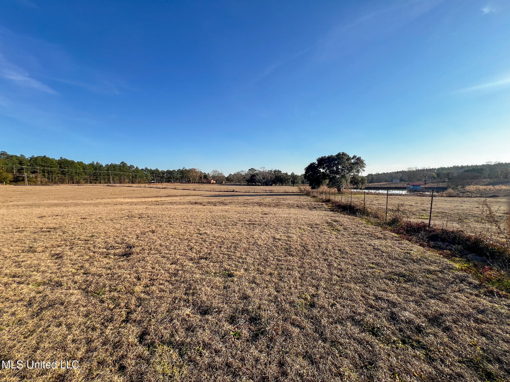 63 Old Highway 63 Lucedale, MS 39452 - Photo 11 of 21 IMG_5135