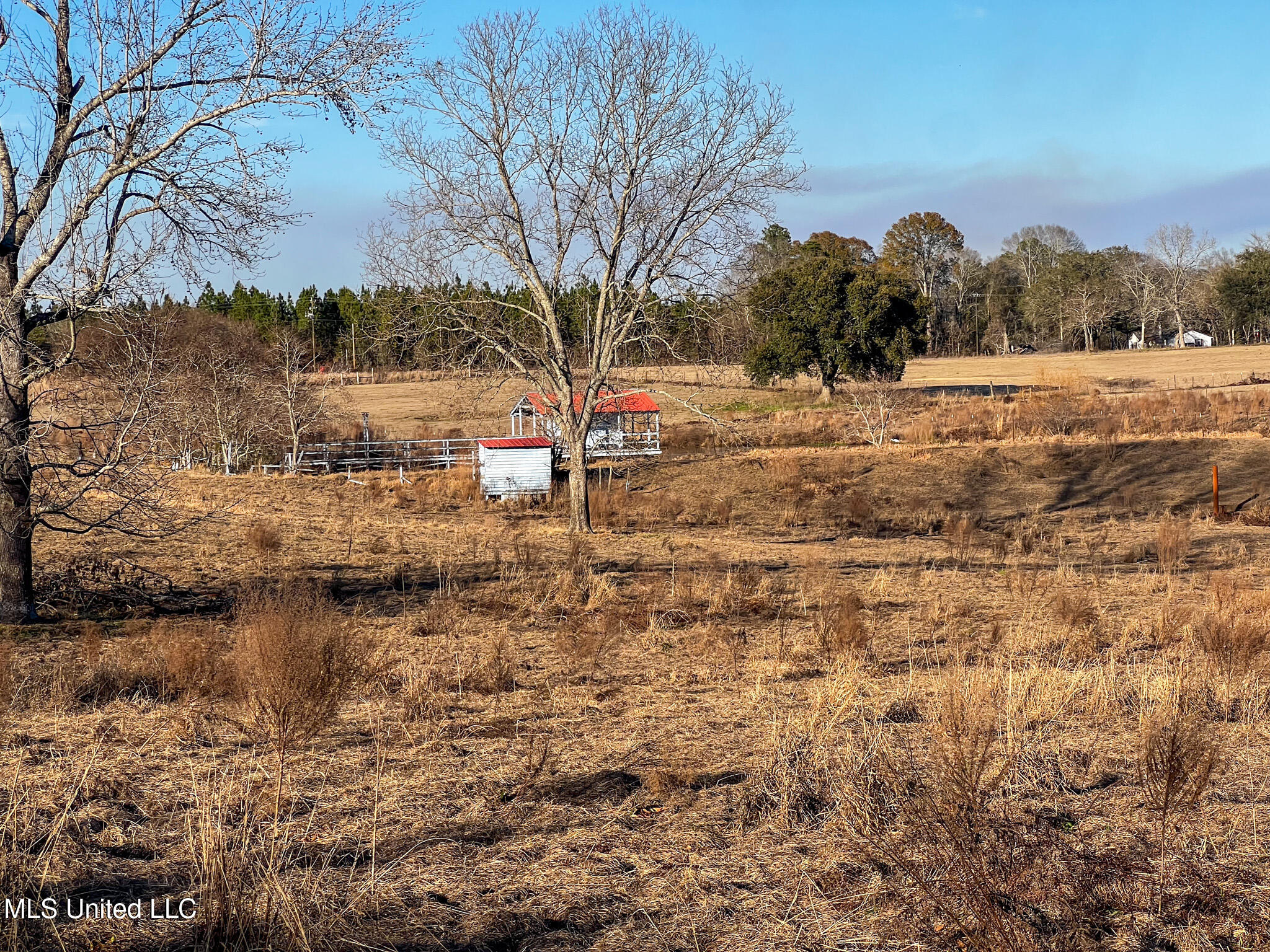 63 Old Highway 63 Lucedale, MS 39452 - Photo 13 of 21 IMG_5121