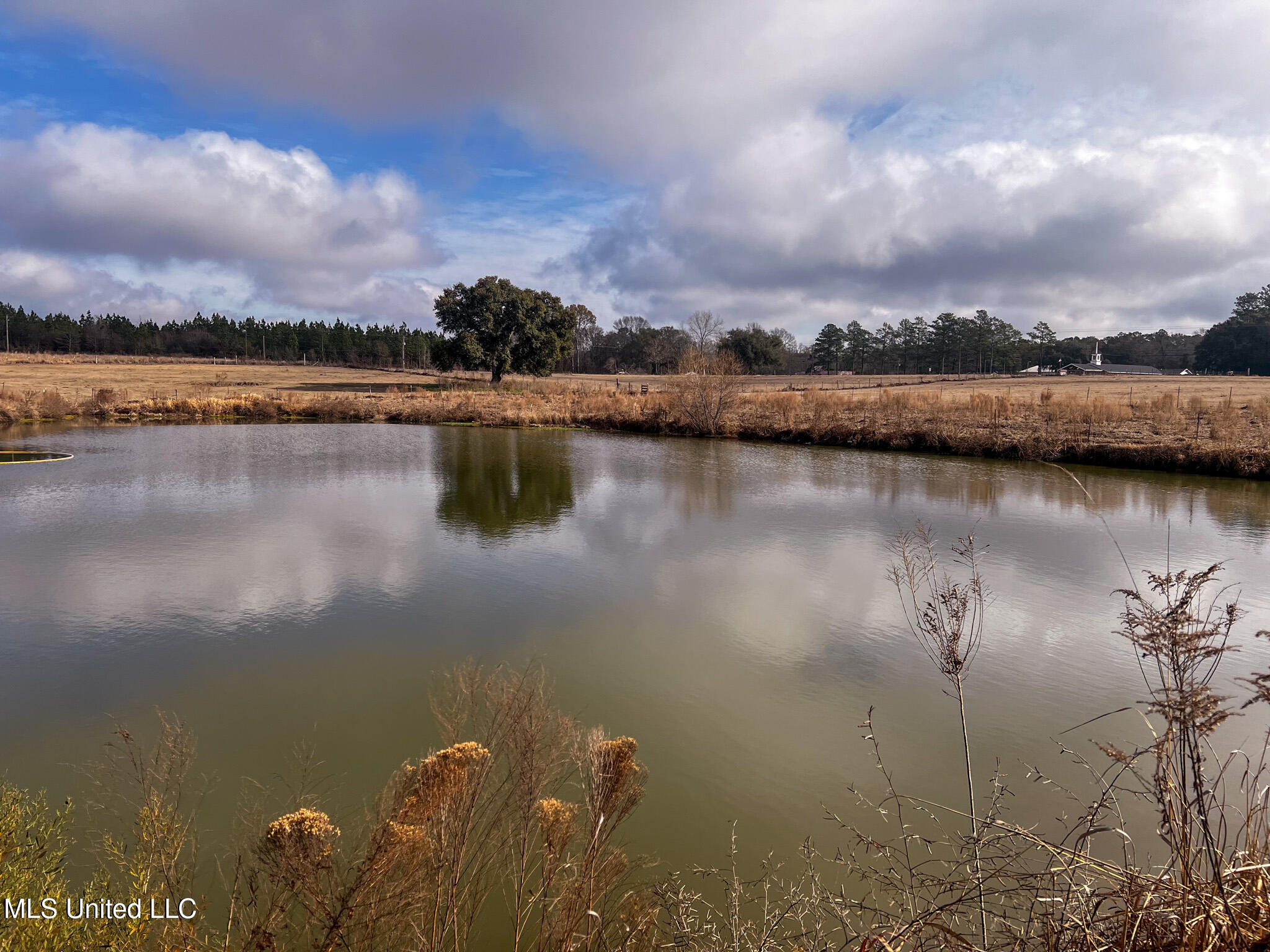 63 Old Highway 63 Lucedale, MS 39452 - Photo 17 of 21 IMG_5149
