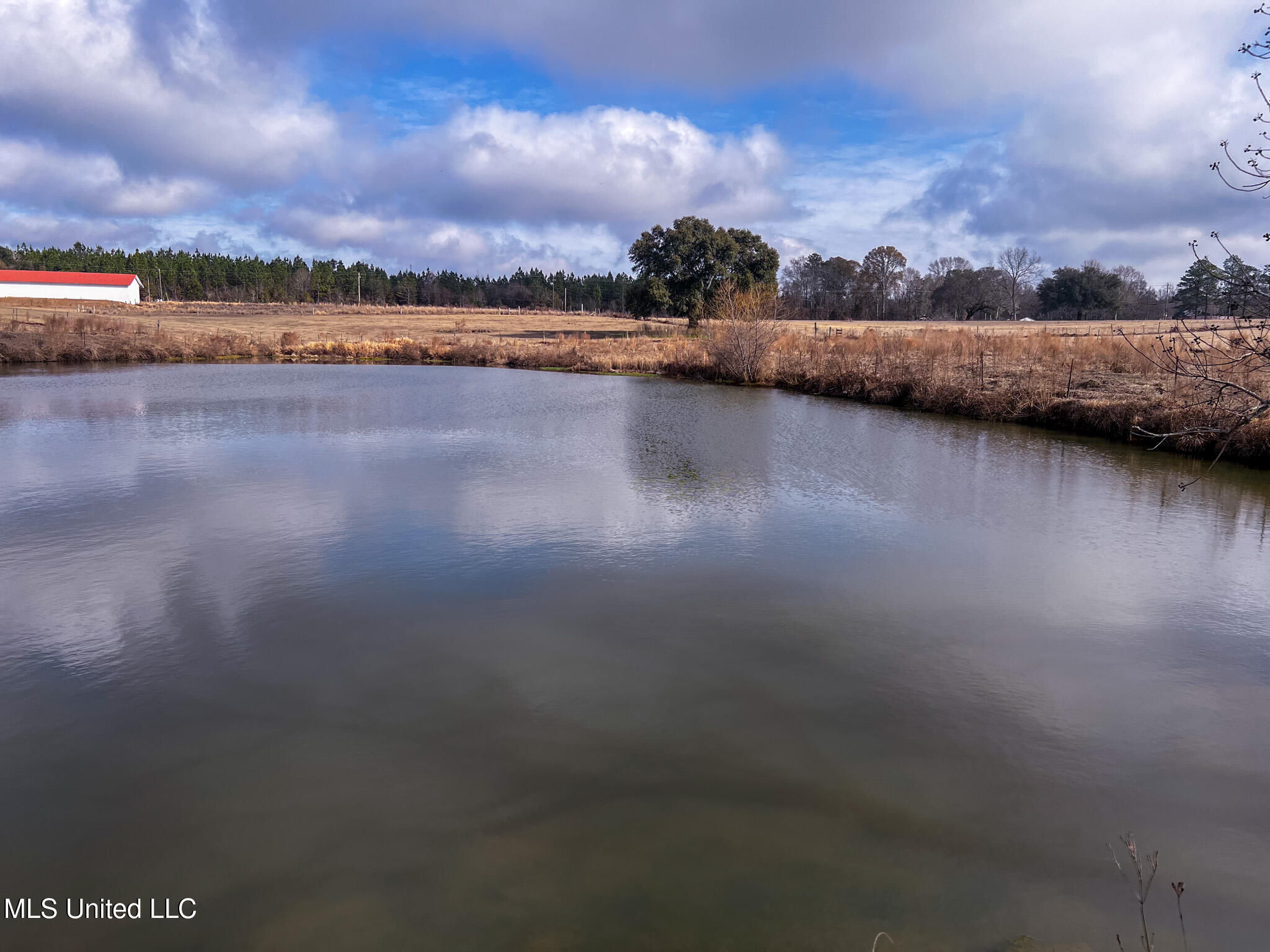 63 Old Highway 63 Lucedale, MS 39452 - Photo 18 of 21 IMG_5150