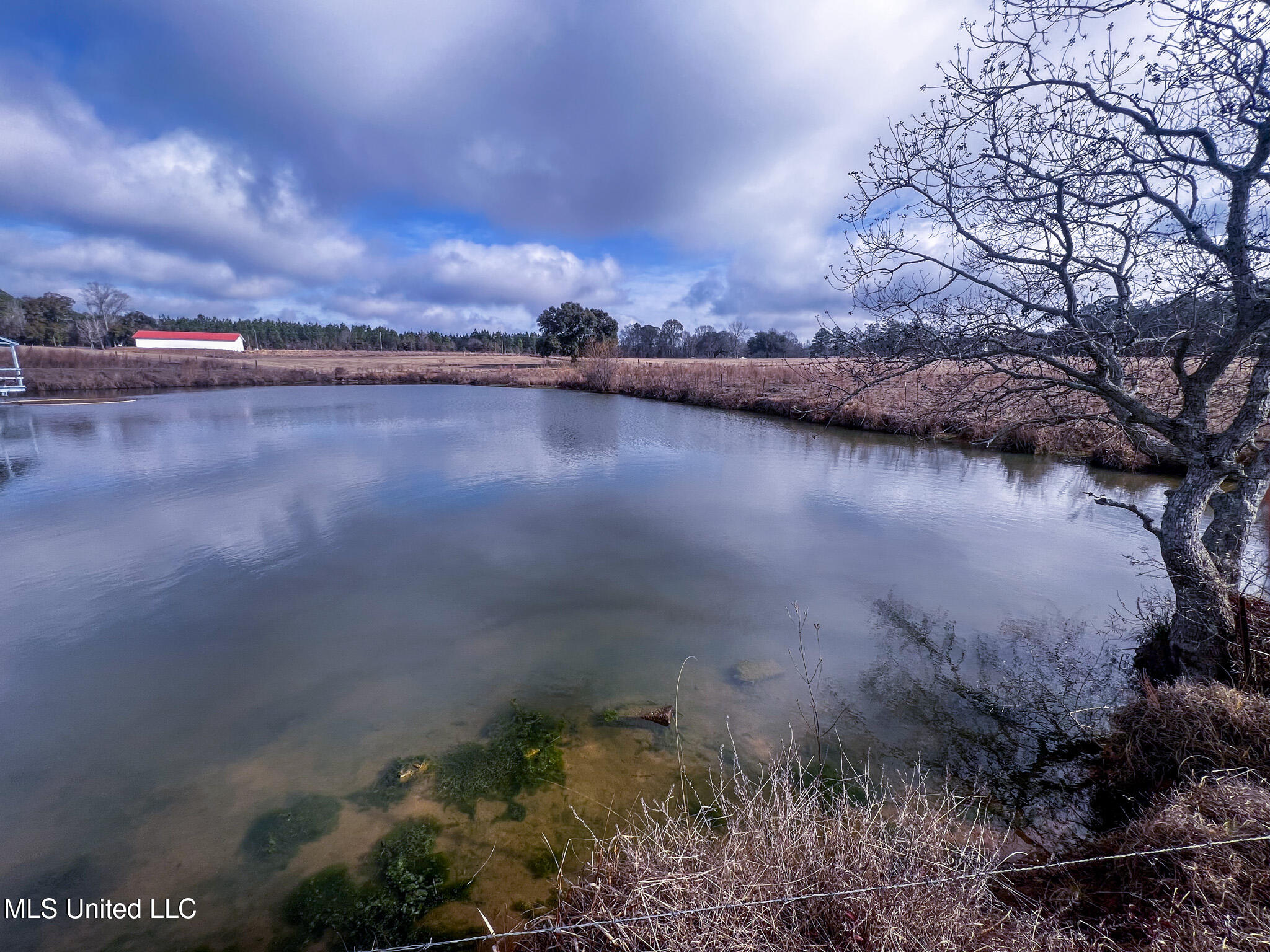 63 Old Highway 63 Lucedale, MS 39452 - Photo 19 of 21 IMG_5151