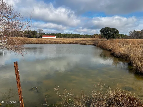 $406,050 | 63 Old Highway 63, Lucedale, MS 39452