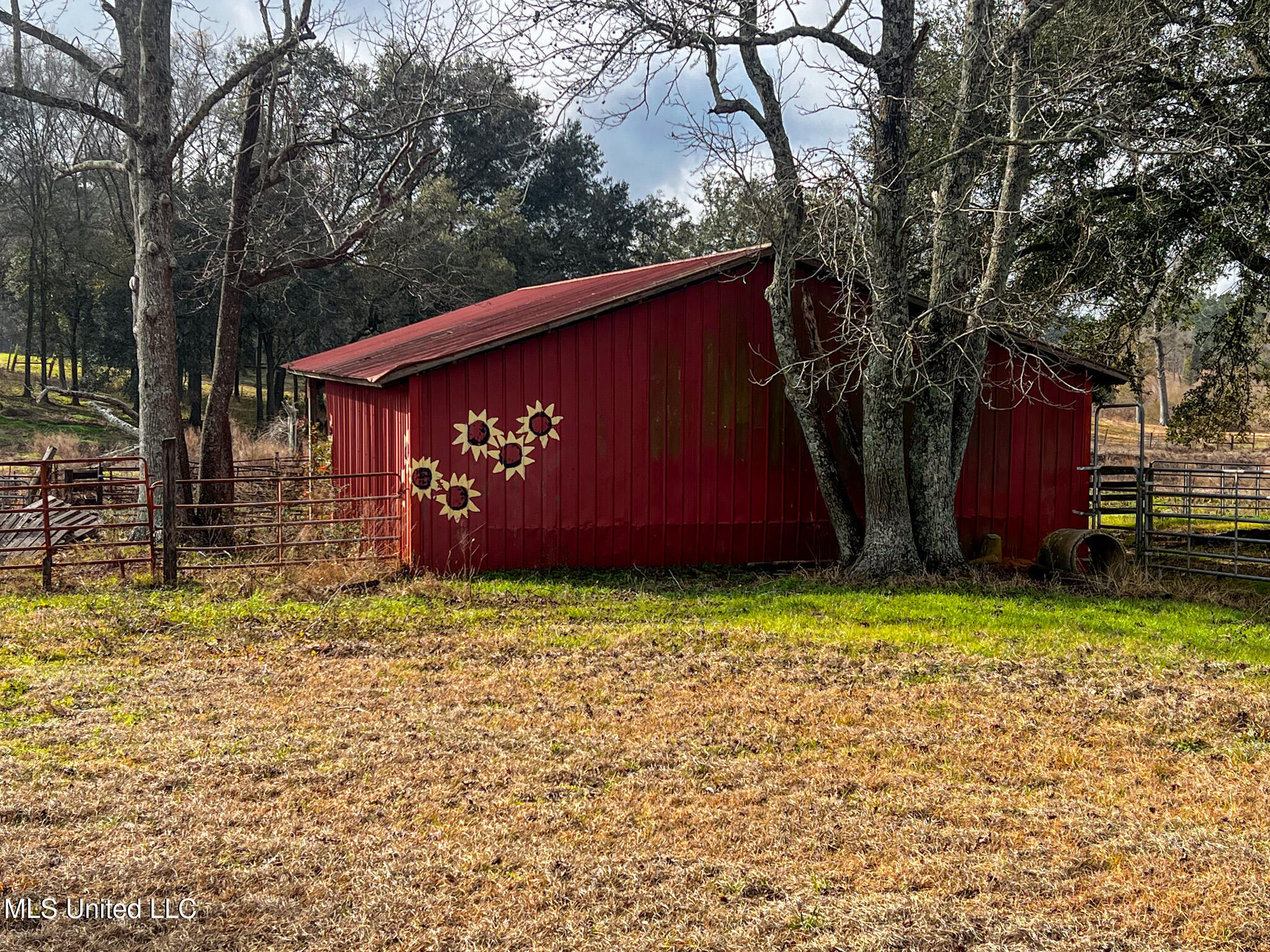 63 Old Highway 63 Lucedale, MS 39452 - Photo 21 of 21 IMG_5155