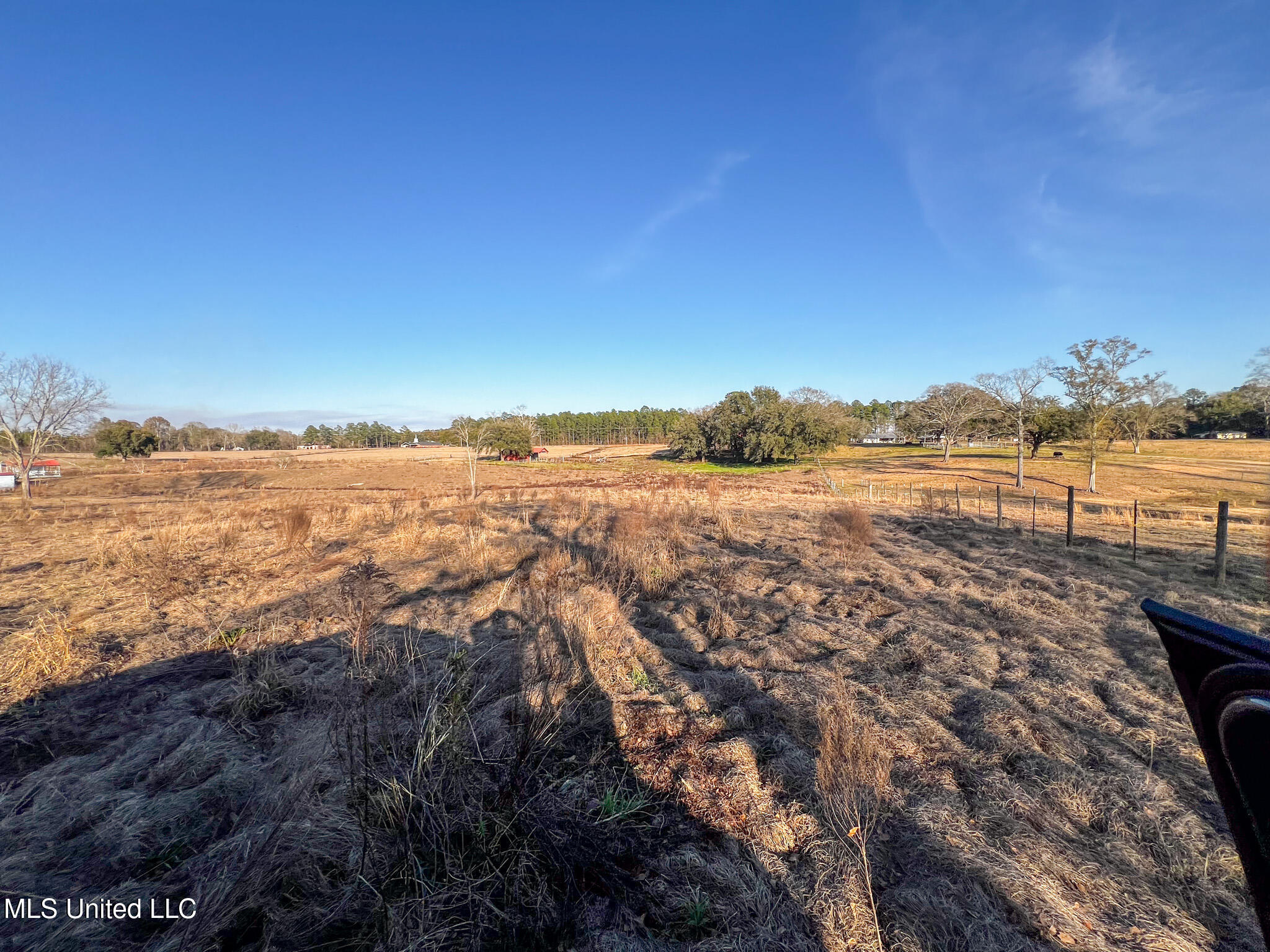 63 Old Highway 63 Lucedale, MS 39452 - Photo 4 of 21 IMG_5123
