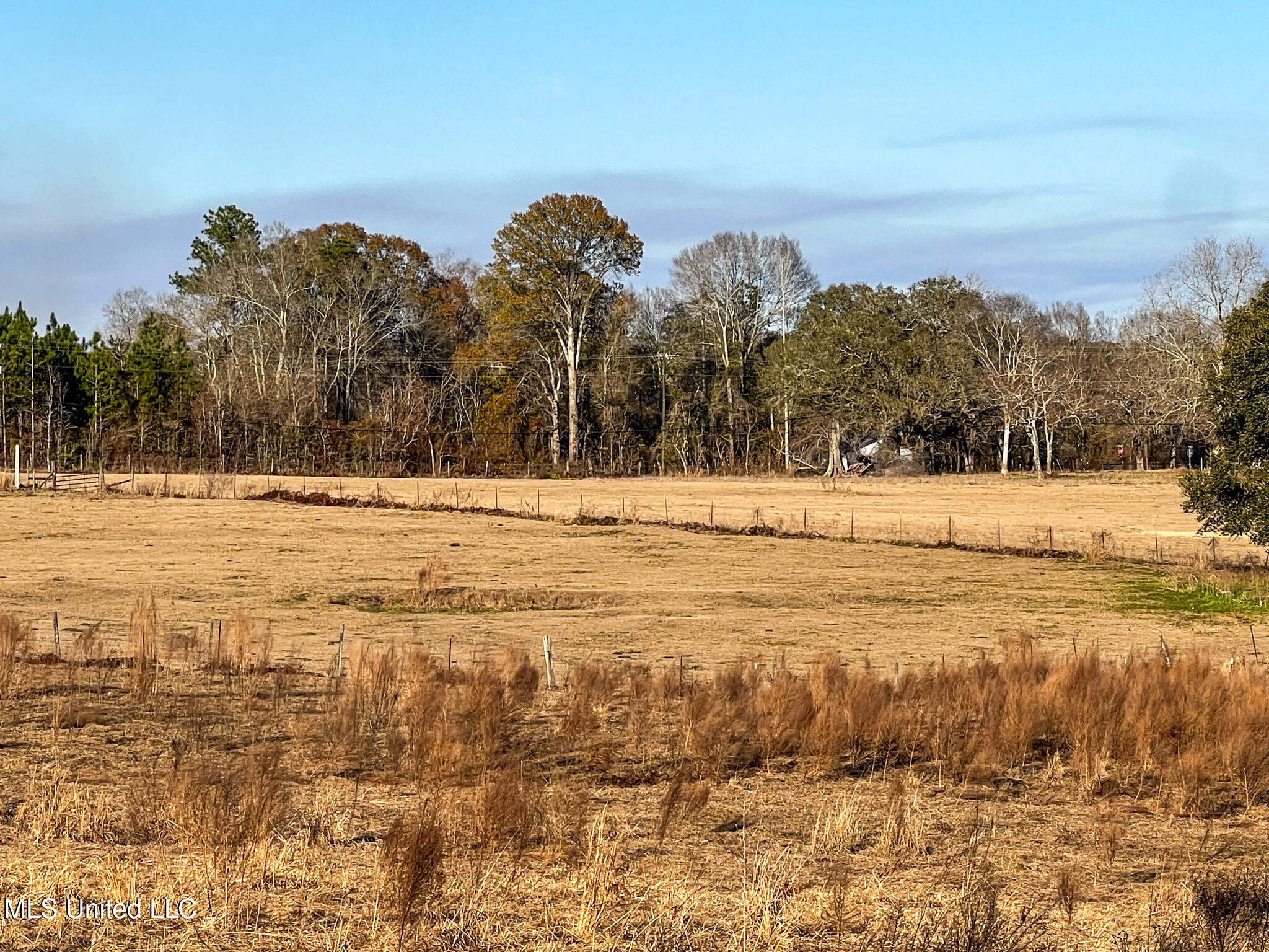 63 Old Highway 63 Lucedale, MS 39452 - Photo 5 of 21 IMG_5125