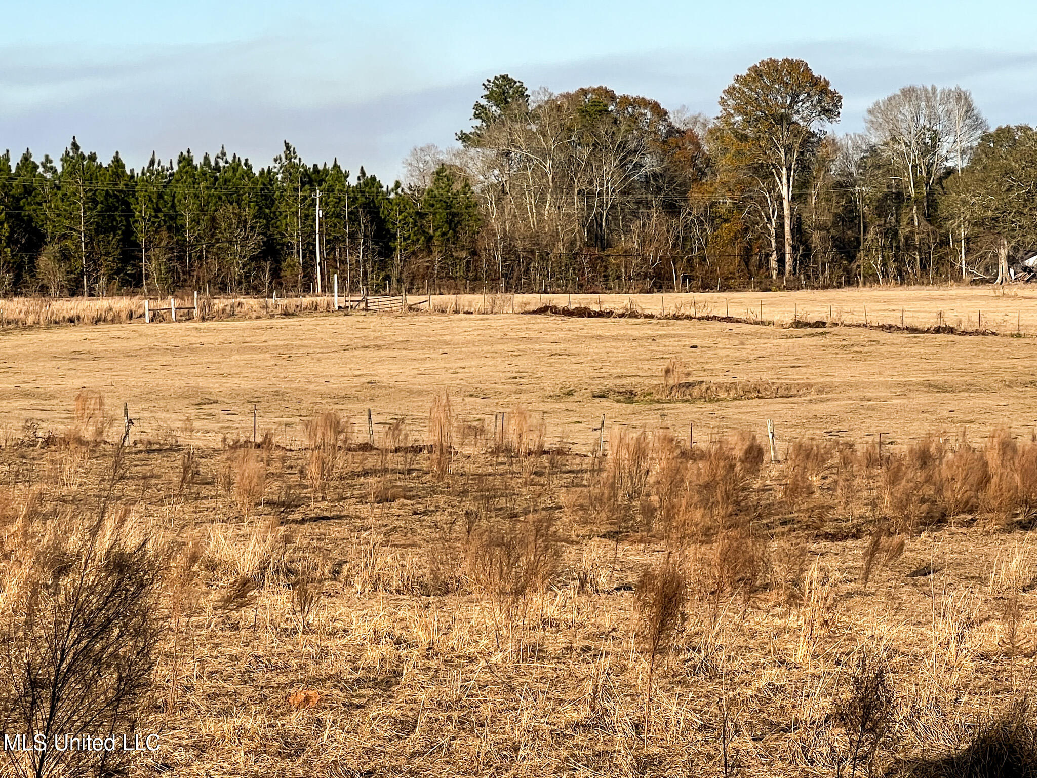 63 Old Highway 63 Lucedale, MS 39452 - Photo 6 of 21 IMG_5127