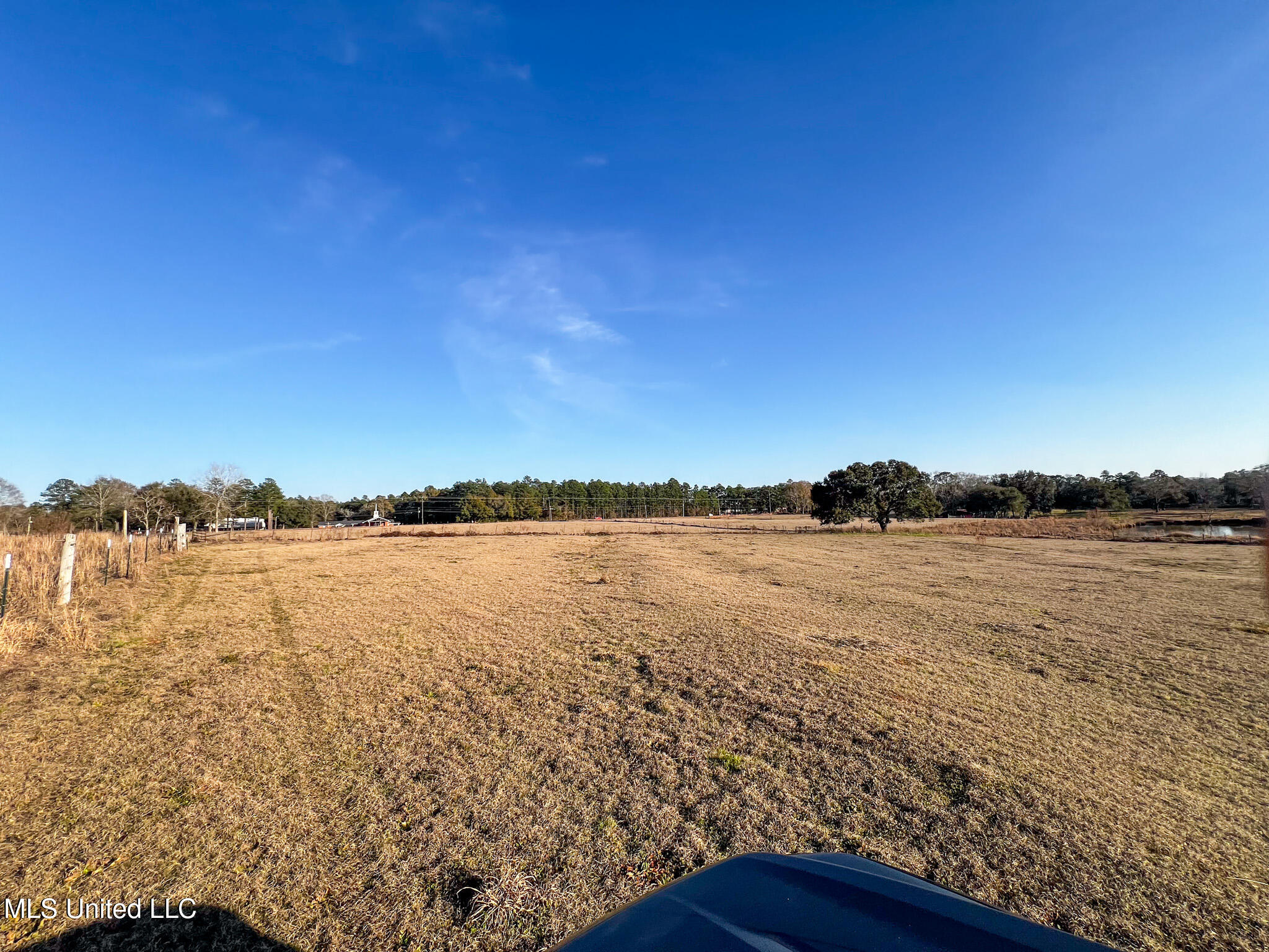 63 Old Highway 63 Lucedale, MS 39452 - Photo 7 of 21 IMG_5130