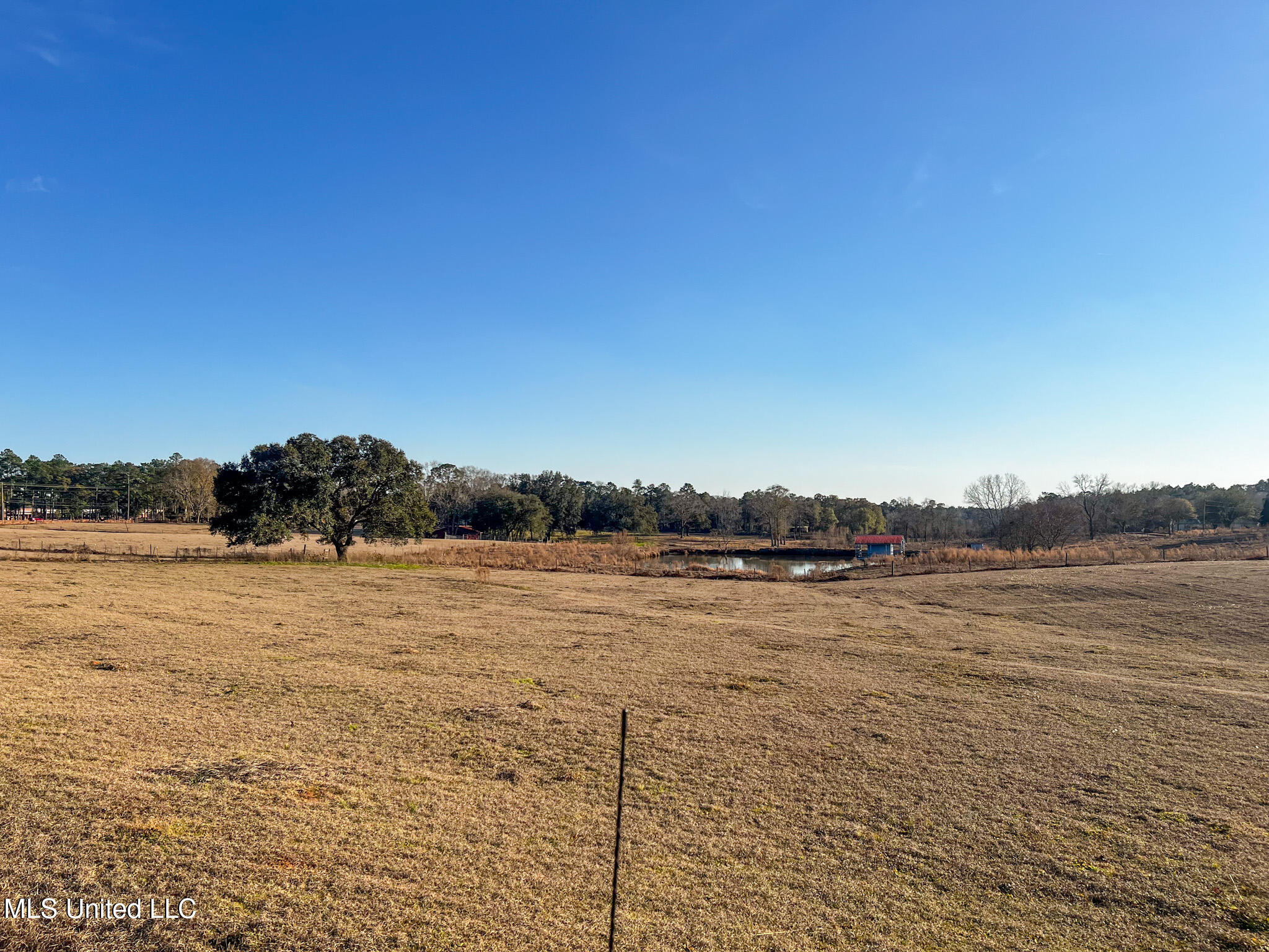 63 Old Highway 63 Lucedale, MS 39452 - Photo 8 of 21 IMG_5131