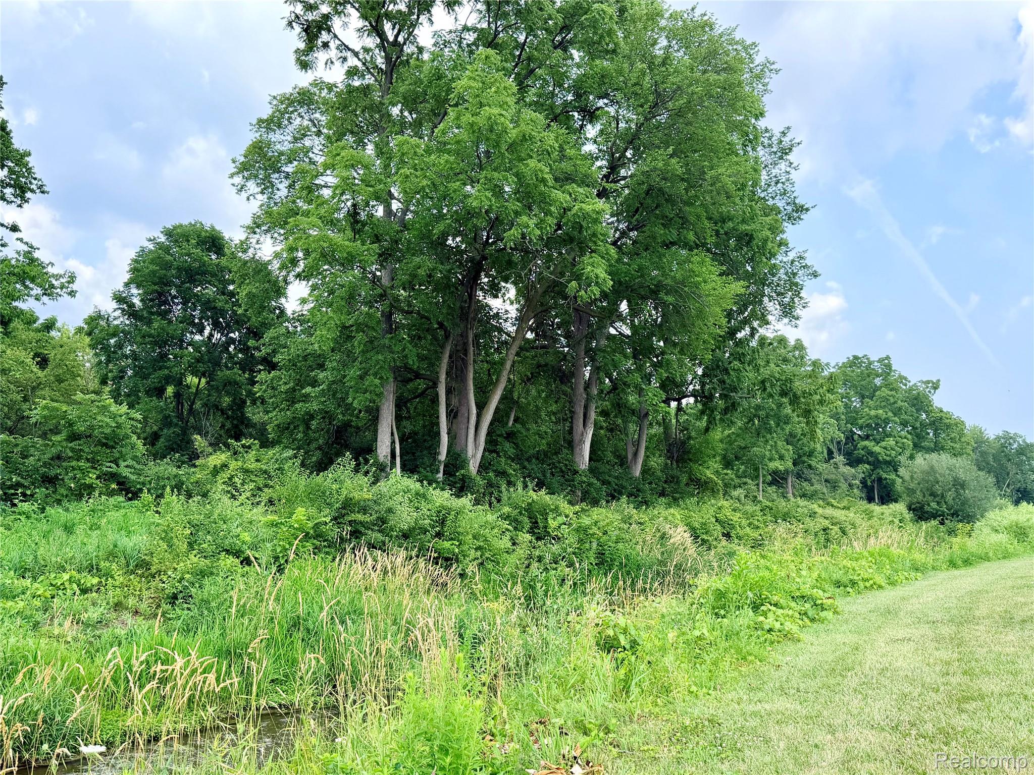 3840 East Dunbar Road Monroe, MI 48161 - Photo 13 of 38 Expansive property featuring mature deciduous trees and a natural water feature