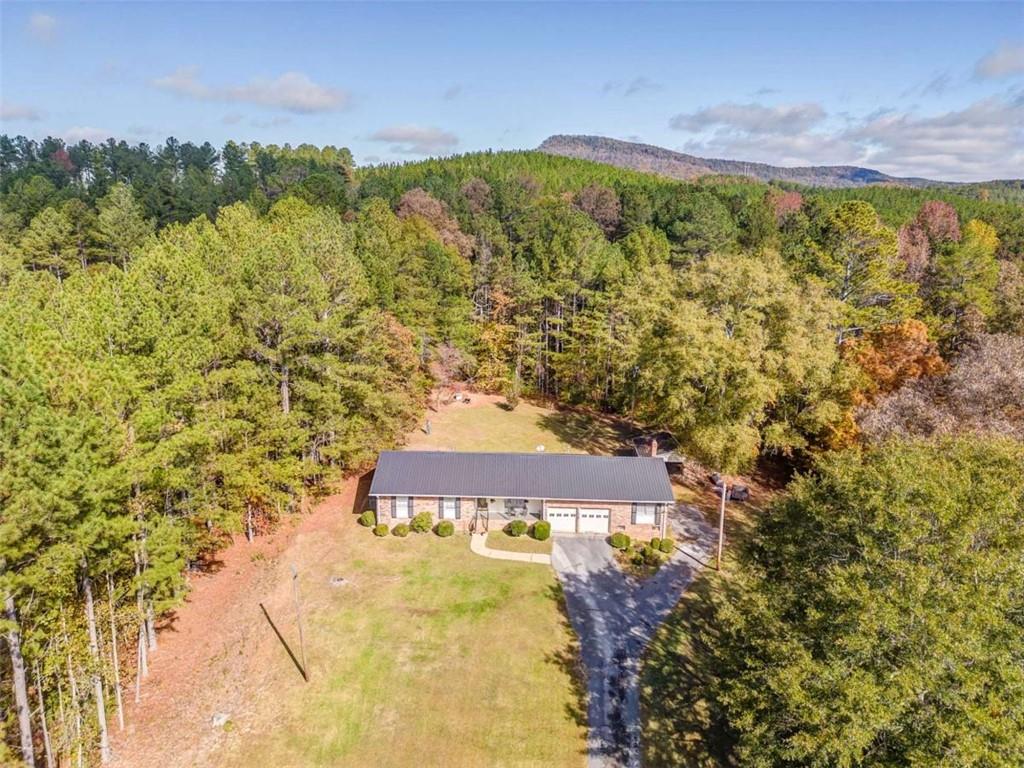 8690 Silver Hill Road Lyerly, GA 30730 - Photo 33 of 35 a view of a yard with a lake and mountain view