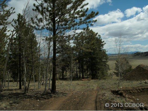 2555 Wagon Wheel Road Hartsel, CO 80449 - Photo 12 of 14 Gallery Image 12