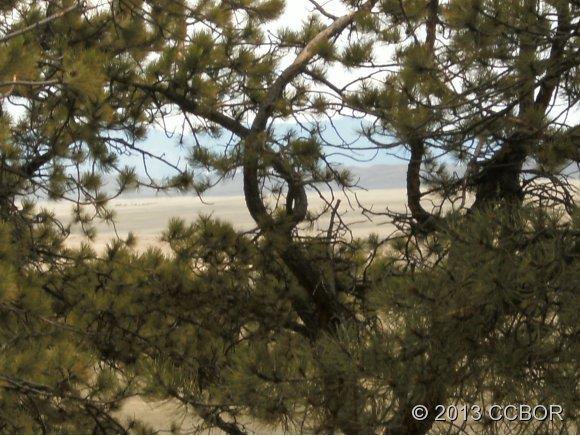 2555 Wagon Wheel Road Hartsel, CO 80449 - Photo 14 of 14 Gallery Image 14