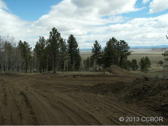 2555 Wagon Wheel Road Hartsel, CO 80449 - Photo 3 of 14 Gallery Image 3