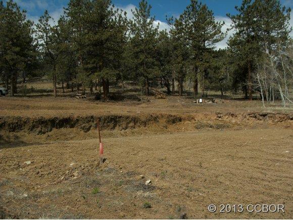 2555 Wagon Wheel Road Hartsel, CO 80449 - Photo 7 of 14 Gallery Image 7