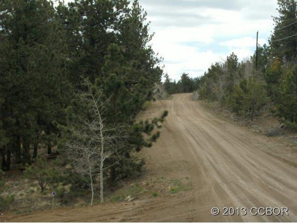 2555 Wagon Wheel Road Hartsel, CO 80449 - Photo 8 of 14 Gallery Image 8