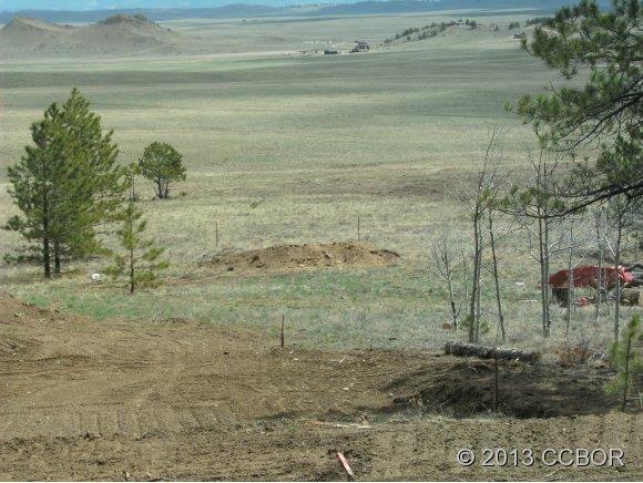 2555 Wagon Wheel Road Hartsel, CO 80449 - Photo 9 of 14 Gallery Image 9