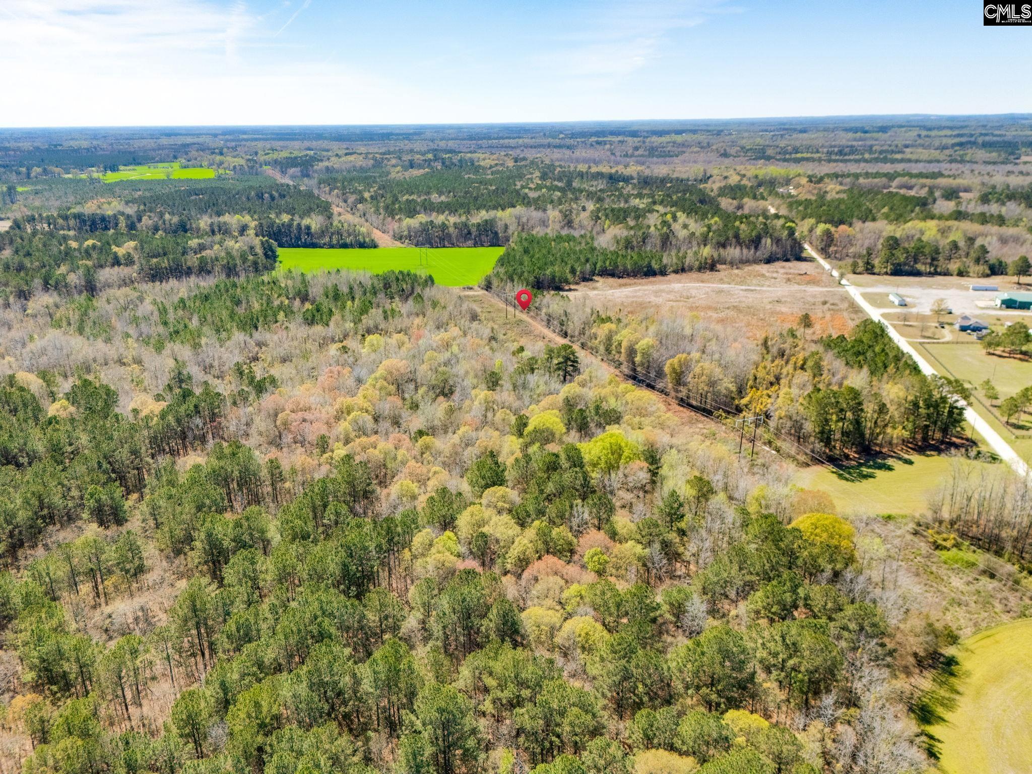 270 Bell Road Mayesville, SC 29104 - Photo 7 of 11