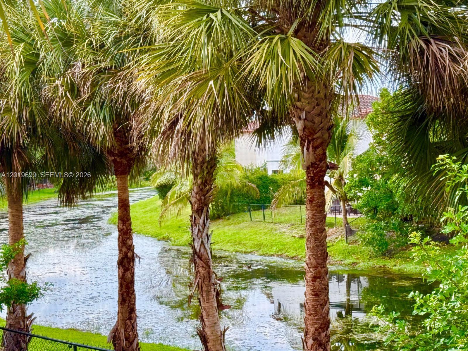 3470 Foxcroft Road, Unit 204 Miramar, FL 33025 - Photo 3 of 40 a view of a yard with palm trees