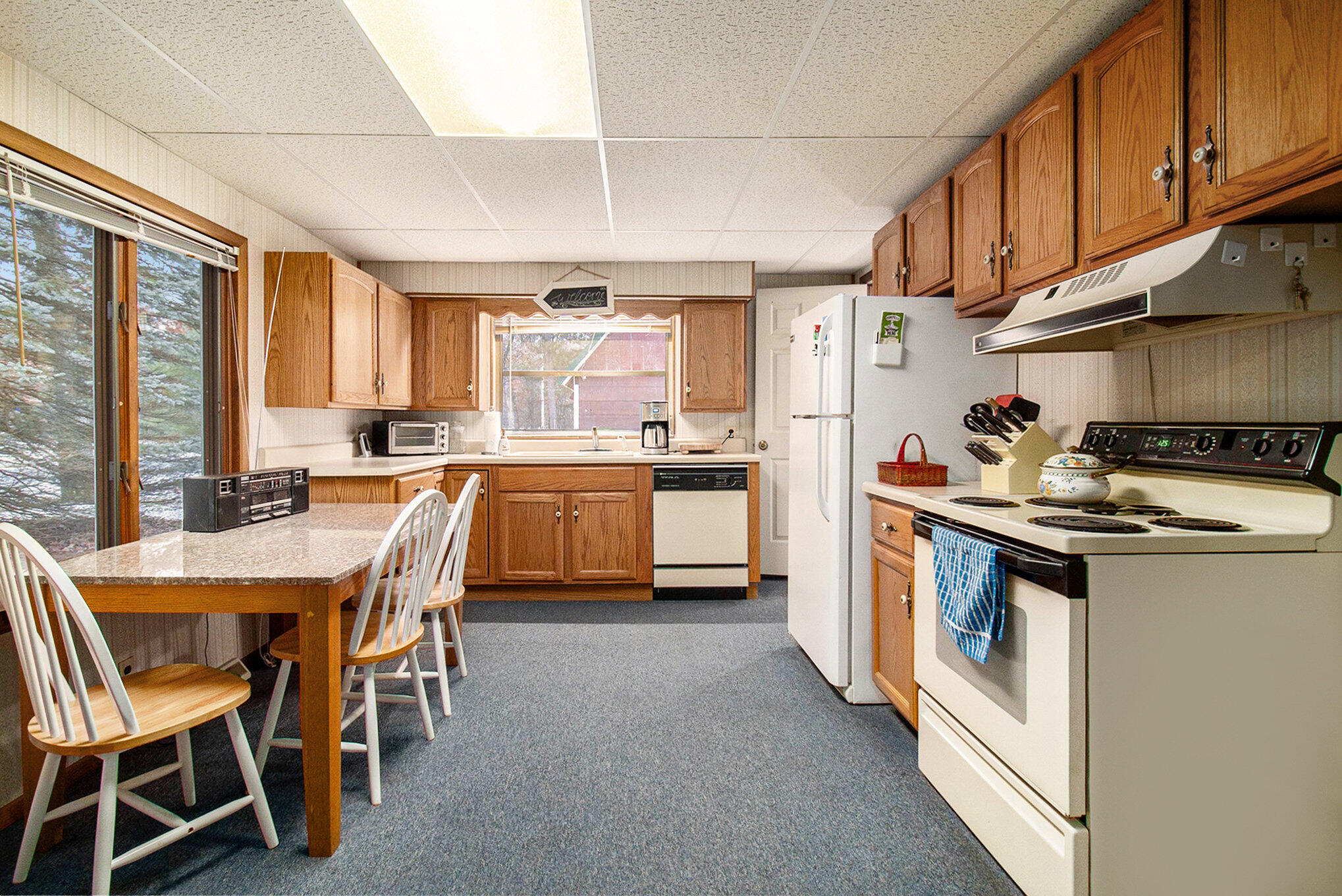 3487 South Merrillville Road Baldwin, MI 49304 - Photo 8 of 16 006_625a0250