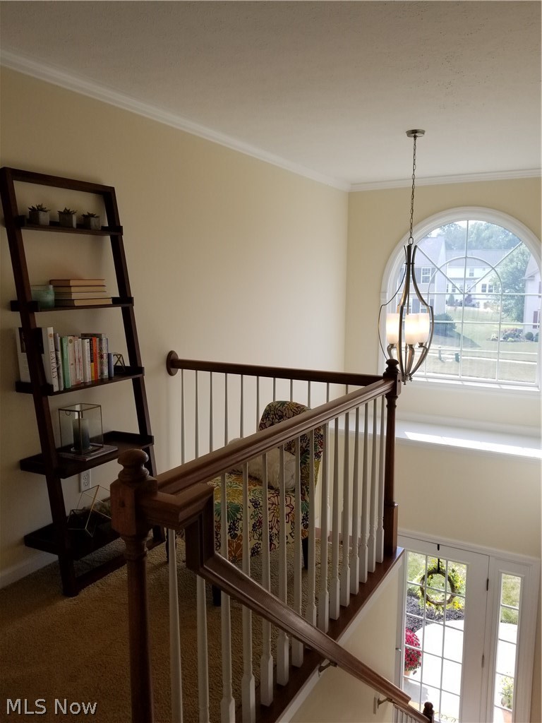 1177 Singleton Akron, OH 44321 - Photo 15 of 33 A cozy spot for a good book