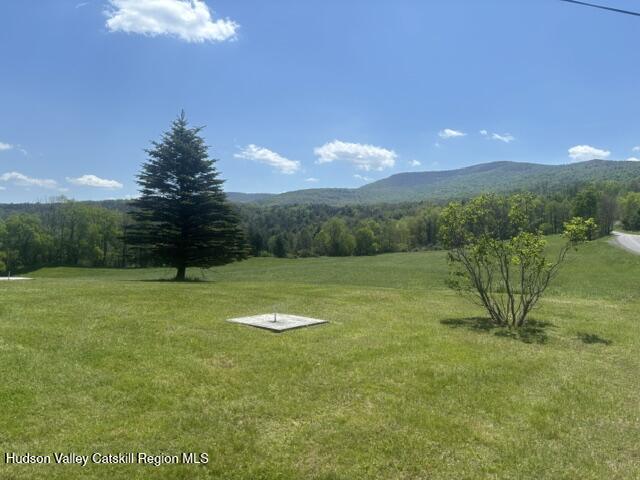 119 South Mountain Road Gilboa, NY 12076 - Photo 9 of 24 a view of a golf course with a lake