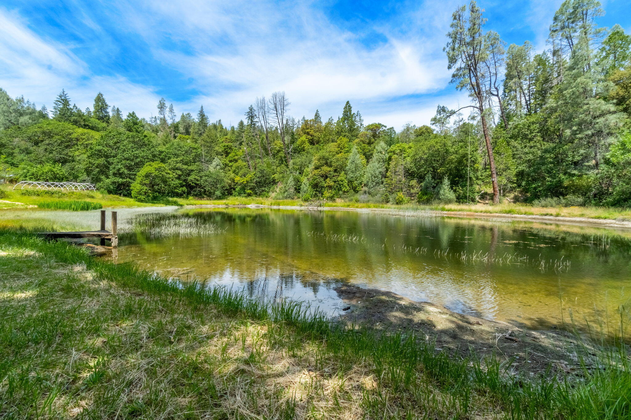 10331 Highway 299, Unit 299 Burnt Ranch, CA 95527 - Photo 58 of 70