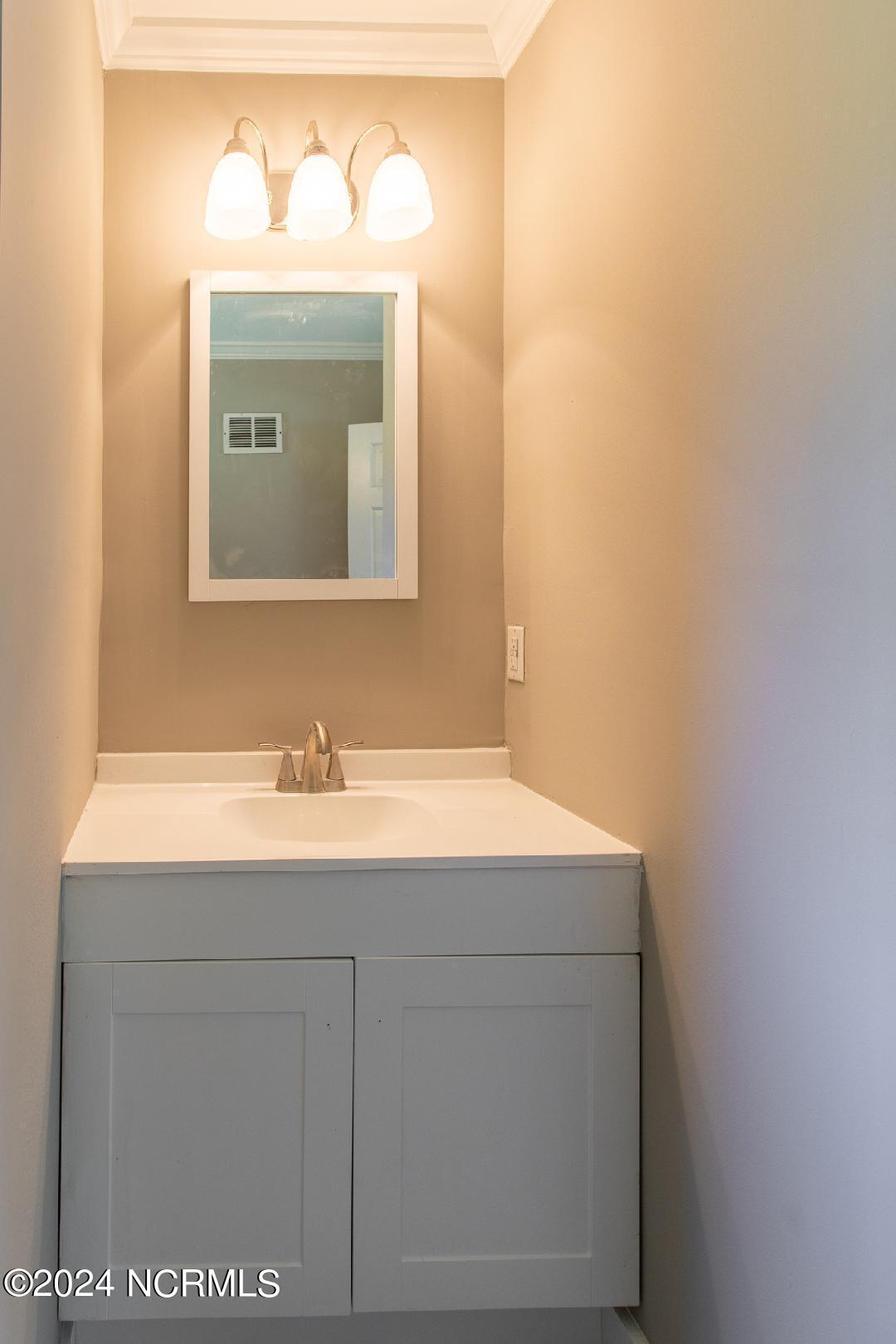 222 Old Roper Loop Plymouth, NC 27962 - Photo 13 of 30 Main Bath Vanity