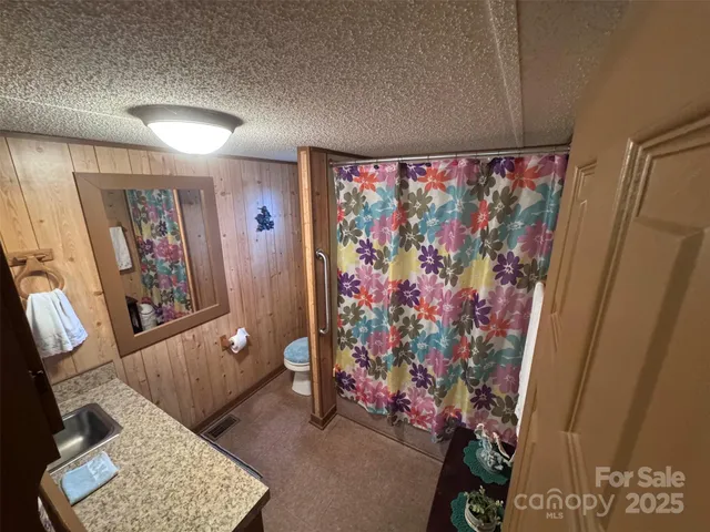 a view of a dry yard with trees