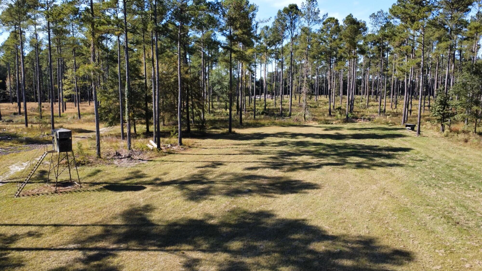 0 Fieldcrest Street Cope, SC 29038 - Photo 50 of 66 Food Plot with Feeder