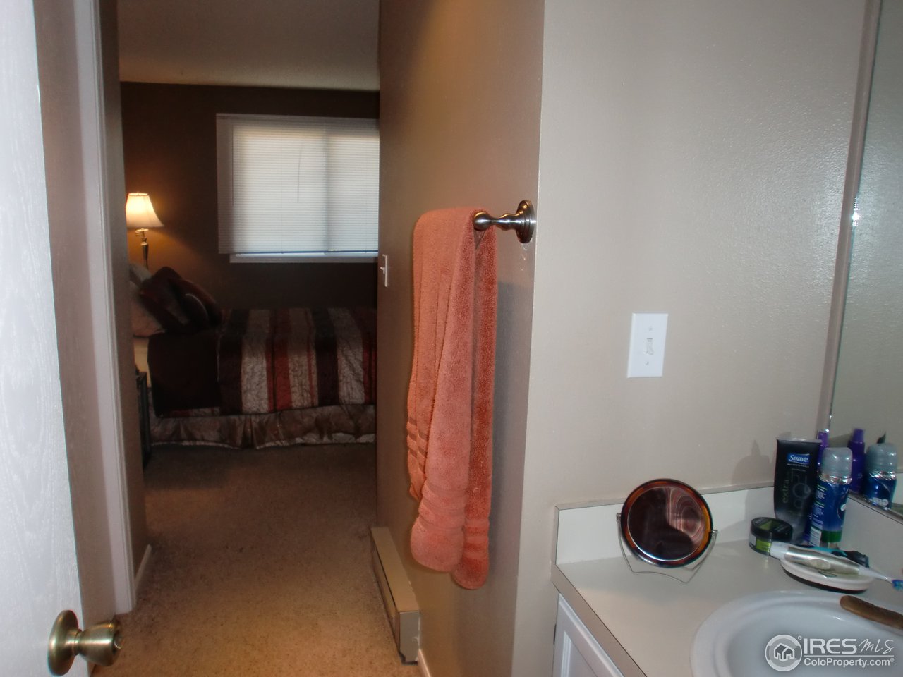 1213 West Swallow Road, Unit 214 Fort Collins, CO 80526 - Photo 16 of 23 master bedroom vanity