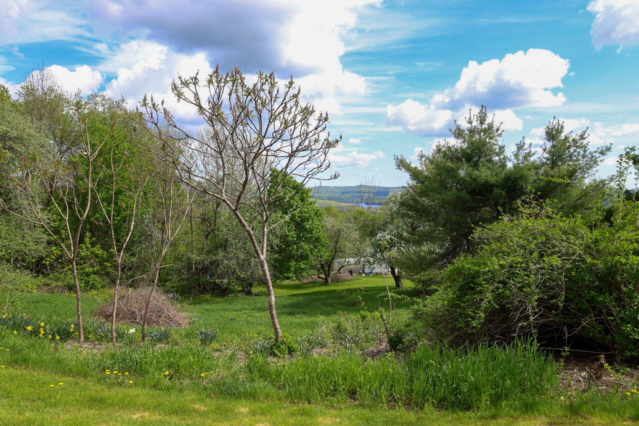 239 Temple Road Wilton, ME 04294 - Photo 17 of 120 20250516143555_J83A0431