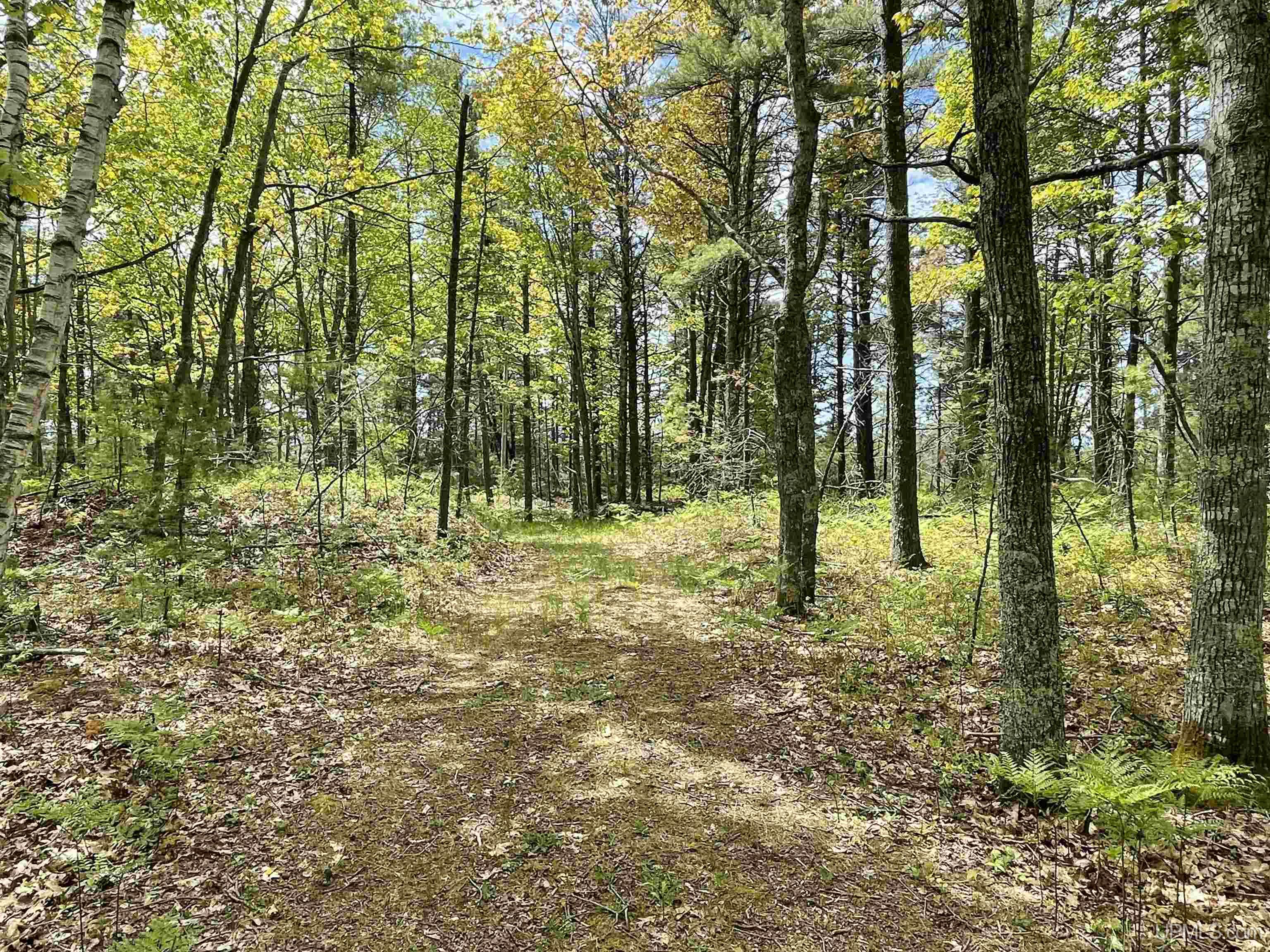 402 Top O' Lake Road Gulliver, MI 49840 - Photo 29 of 33