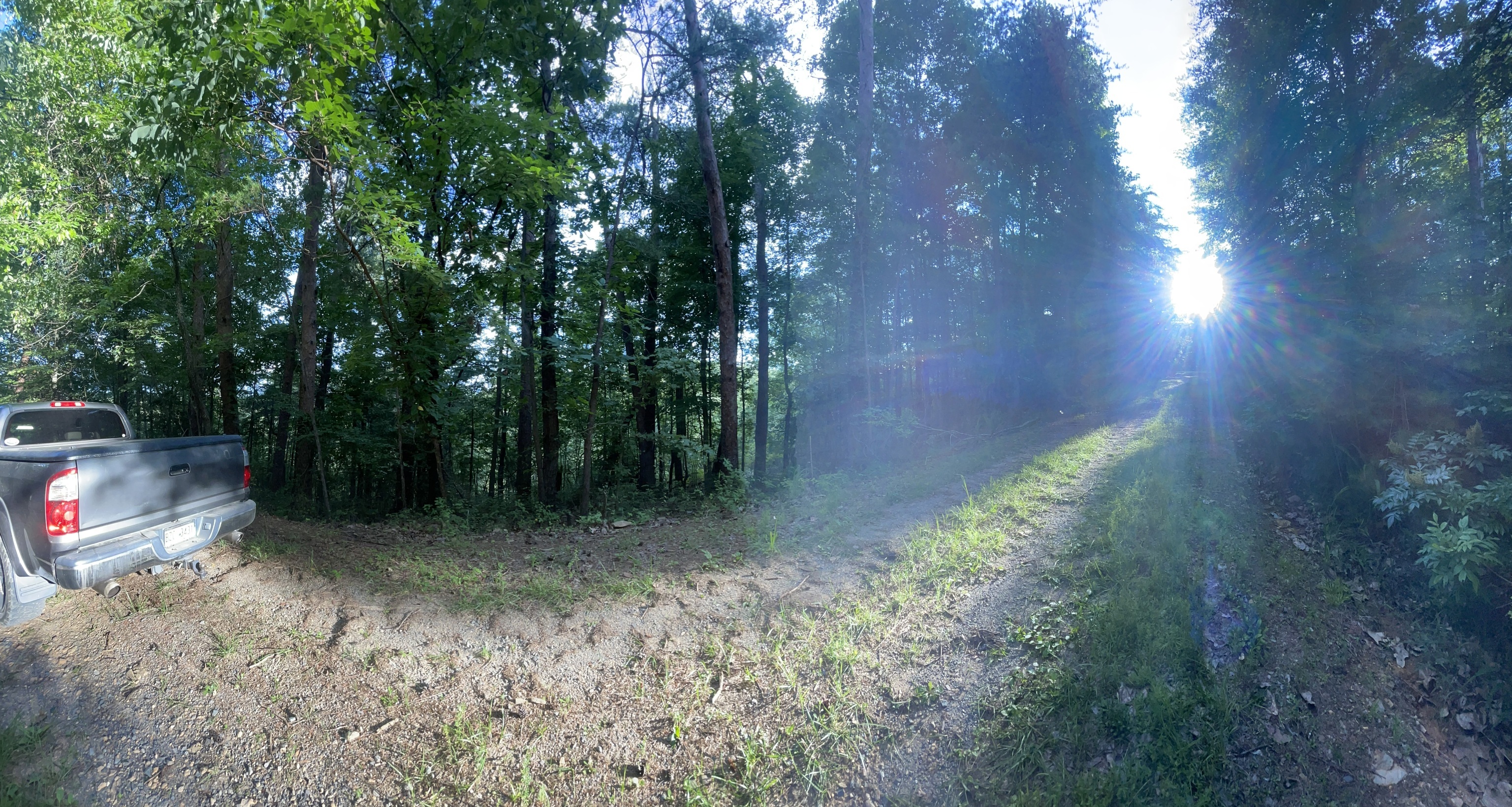 1059 Mayfield Lane Northeast Ranger, GA 30734 - Photo 3 of 32 a view of outdoor space and trees