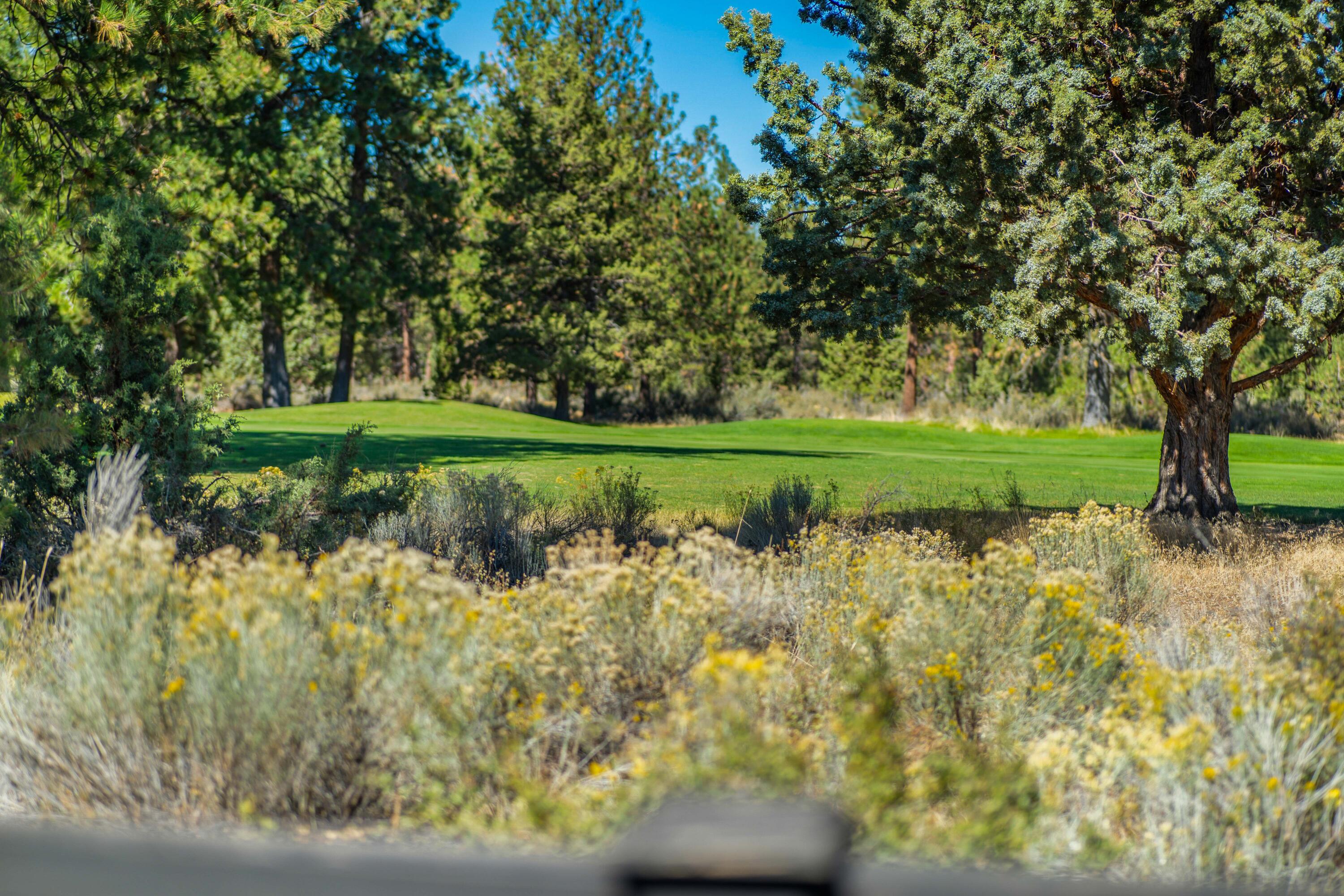 20182 Stonegate Drive Bend, OR 97702 - Photo 47 of 50 Backyard facing the Bend Golf Course