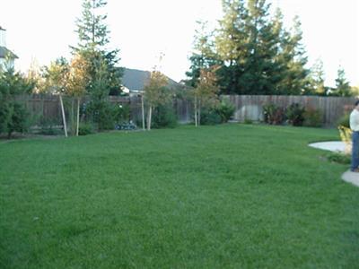 2575 Kensington Court Turlock, CA 95382 - Photo 2 of 14