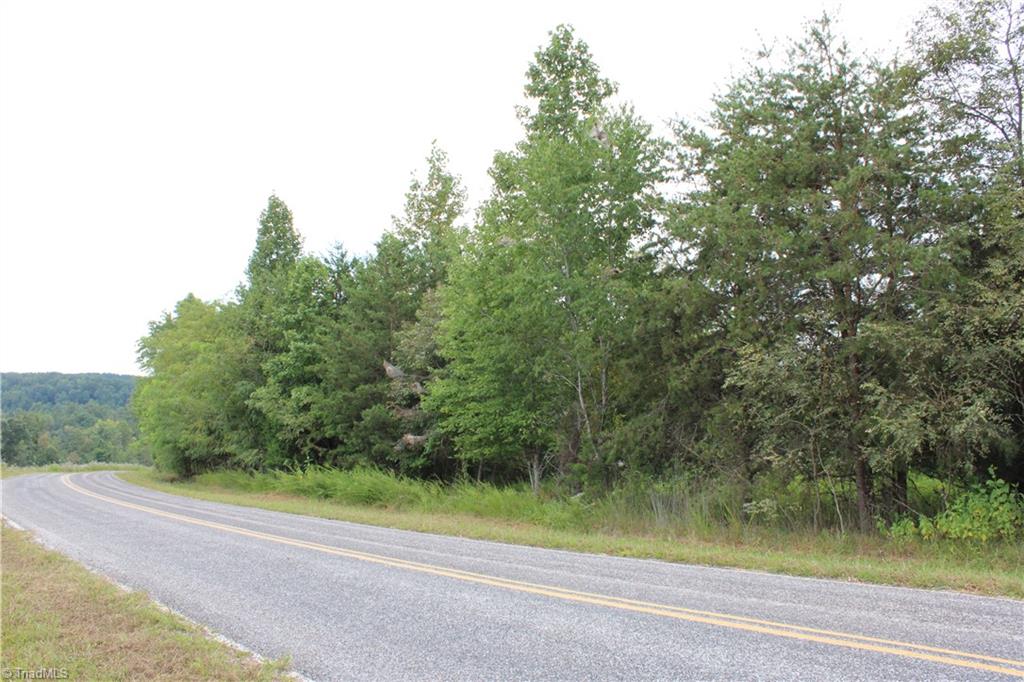 0 Ralph Joyce Road Sandy Ridge, NC 27046 - Photo 2 of 8