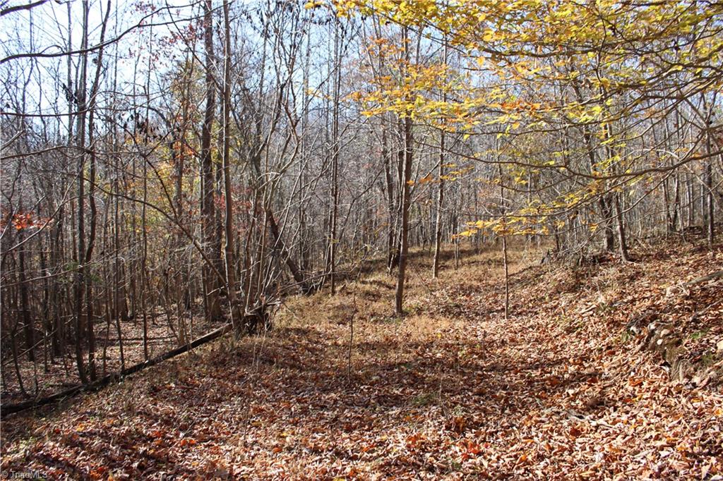 0 Ralph Joyce Road Sandy Ridge, NC 27046 - Photo 3 of 8