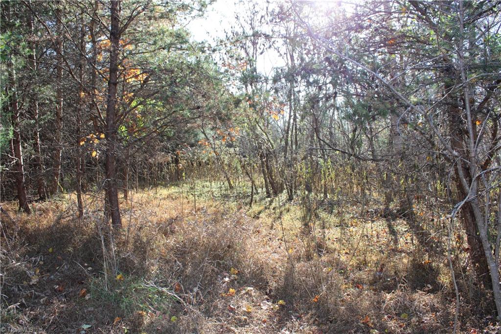 0 Ralph Joyce Road Sandy Ridge, NC 27046 - Photo 6 of 8