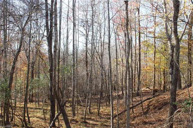 $65,000 | 0 Ralph Joyce Road, Sandy Ridge, NC 27046