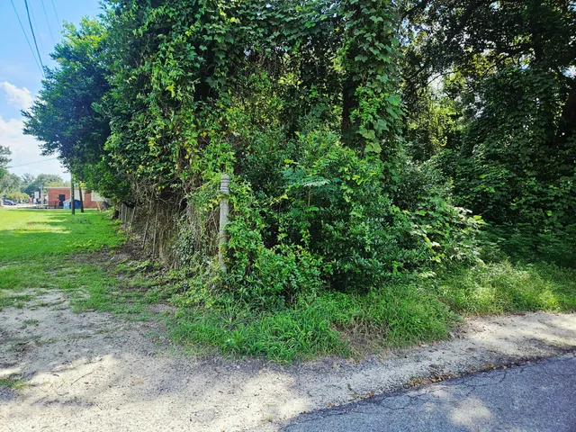 $28,000 | 0 Chaplin Street, Walterboro, SC 29488