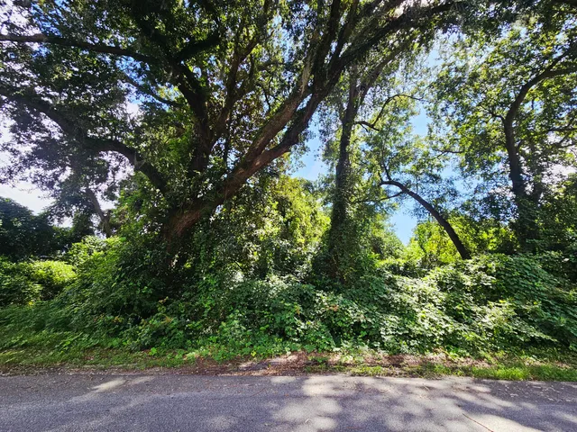 $28,000 | 0 Chaplin Street, Walterboro, SC 29488