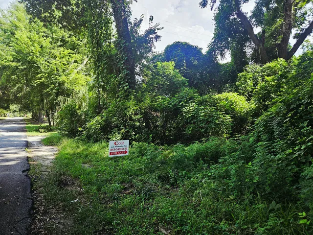 $28,000 | 0 Chaplin Street, Walterboro, SC 29488