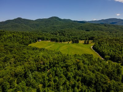 0 Caney Br Road Murphy, NC 28906 - Photo 4 of 12 Gallery Image 4