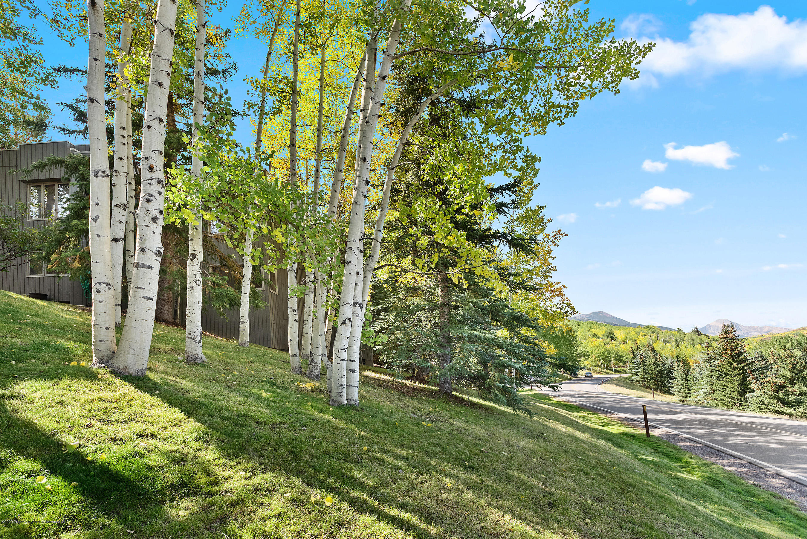 222 Meadow Ranch Road, Unit D4B Snowmass Village, CO 81615 - Photo 22 of 26 a backyard of a house with lots of green space